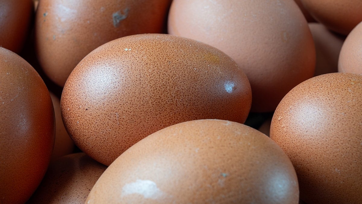 Artık kahverengi yumurta satılmayacak