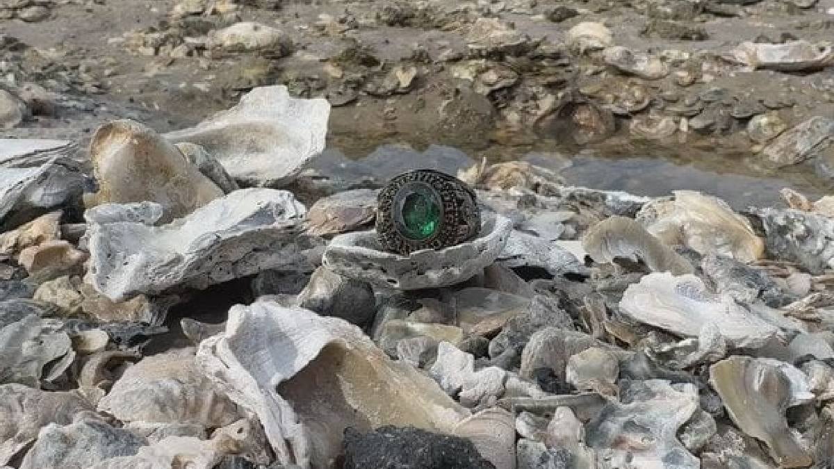 7 kasırga ve 5 fırtınaya direndi: Kayıp 'hazine' 44 yıl sonra bulundu