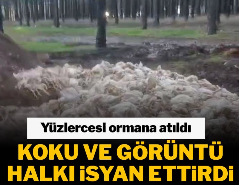 Yüzlercesi ormana atıldı, koku ve görüntü halkı isyan ettirdi