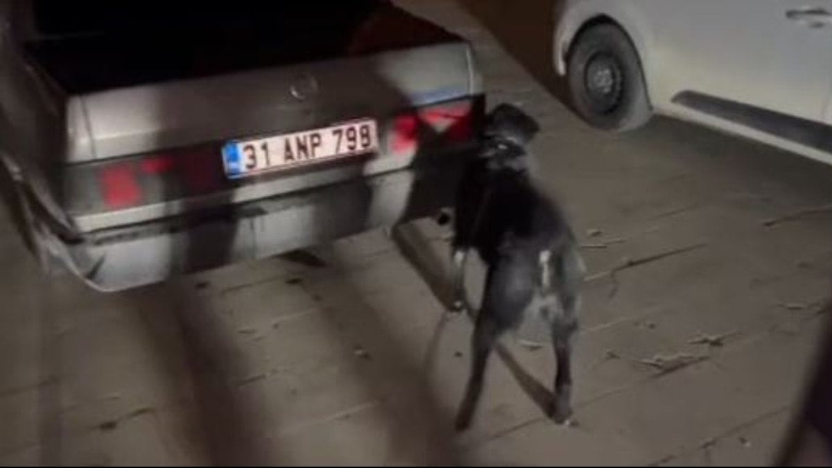 Hatay'da uyuşturucu sevkiyatı polise takıldı: 3 tutuklama