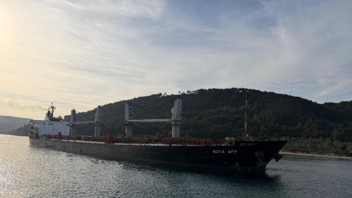 Çanakkale Boğazı'nda tahıl yüklü gemi karaya oturdu