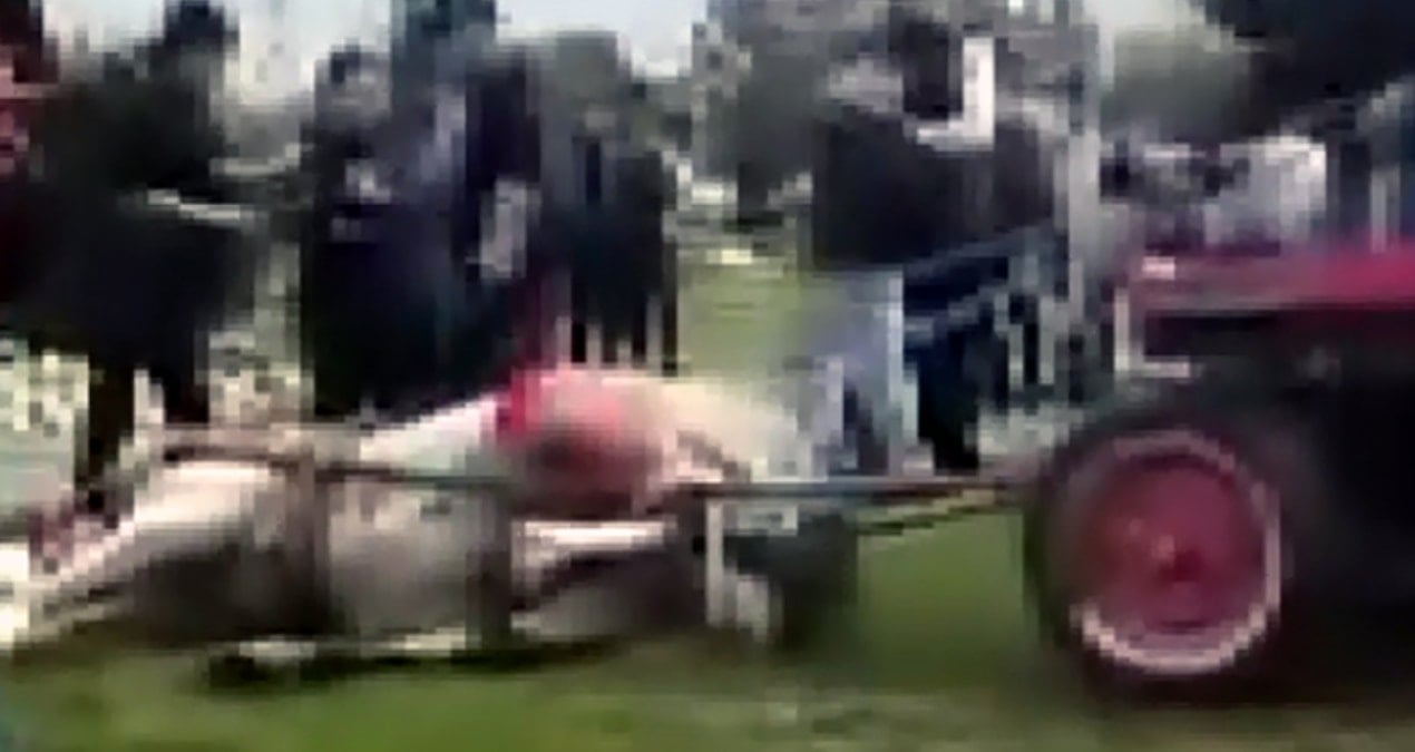 Atları döverek bayıltan canilere ibretlik ceza