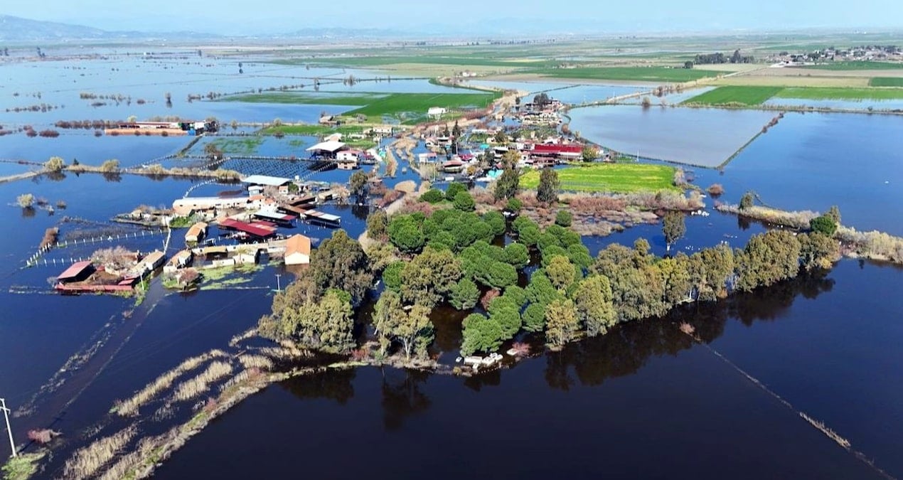 O şimdi Kalcık adası