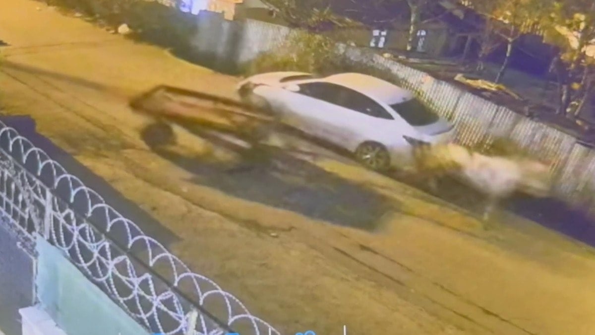 İstanbul'da akılalmaz kaza: Park halindeki araçlara at arabası çarptı