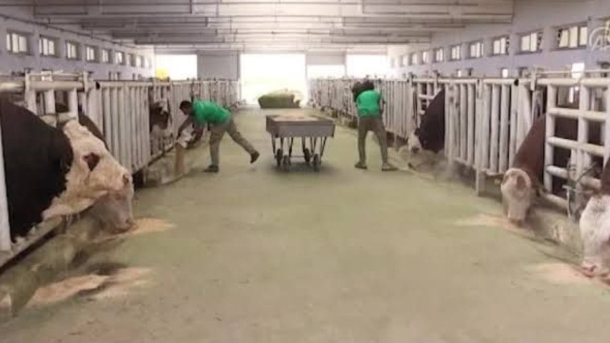 Malatya'da şap alarmı! TİGEM karantinaya alındı