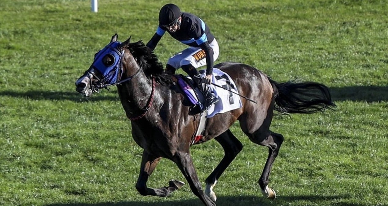 Yarış atı kavurma yapılan iş insanına da 132 bin TL ceza kesildi