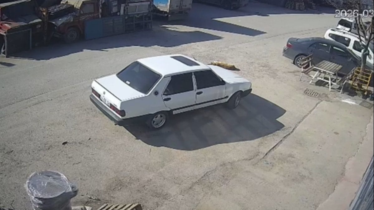 Yerde yatan köpek, otomobilin altında kaldı: O anlar kamerada