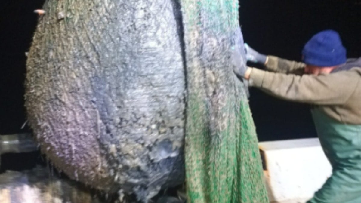 Denizden balık yerine çamur çıktı