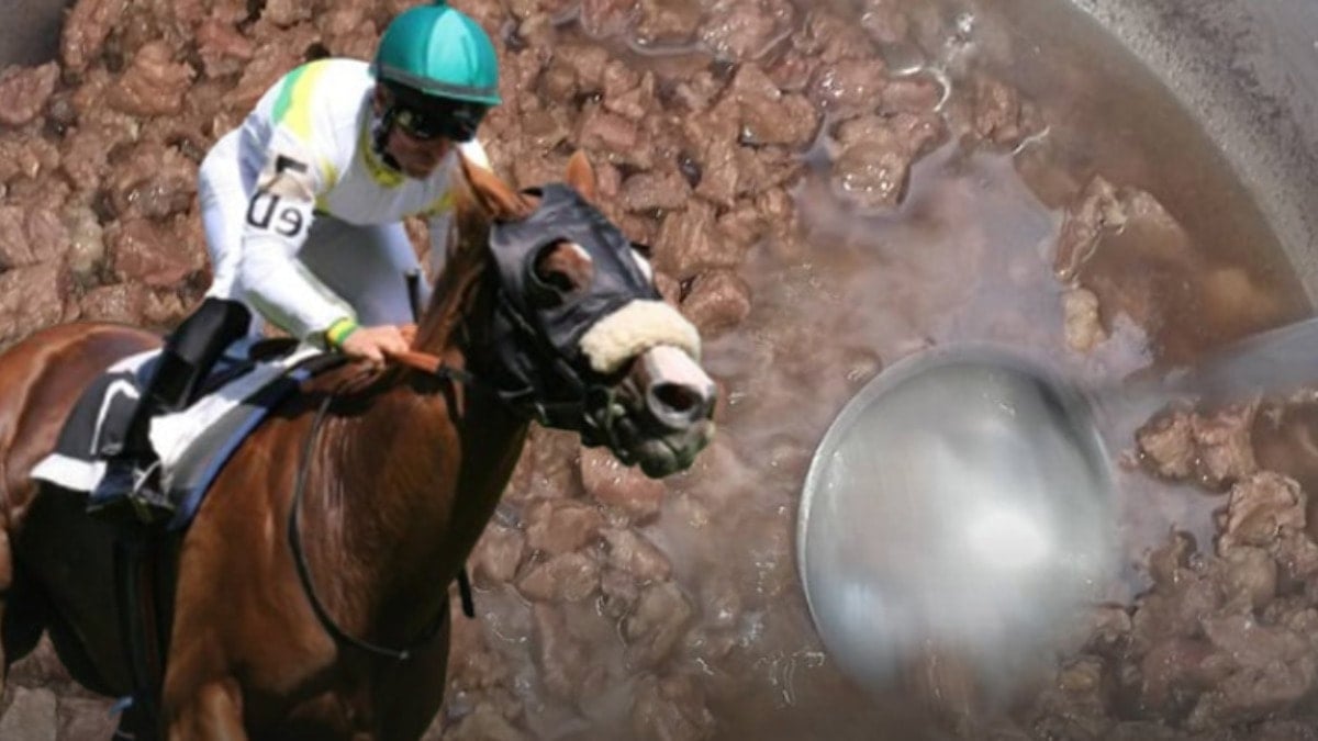 Kavurma yapılan şampiyon atın sahibinden bomba açıklamalar