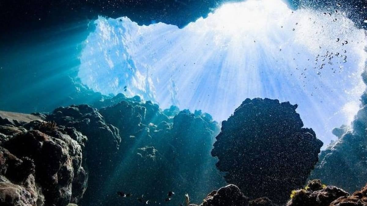 Tam 20 ton ağırlığında: Hiç durmadan 1200 km yol katetti