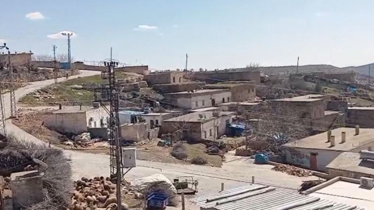 Tek bir inekte görüldü, tüm mahalle karantinaya alındı