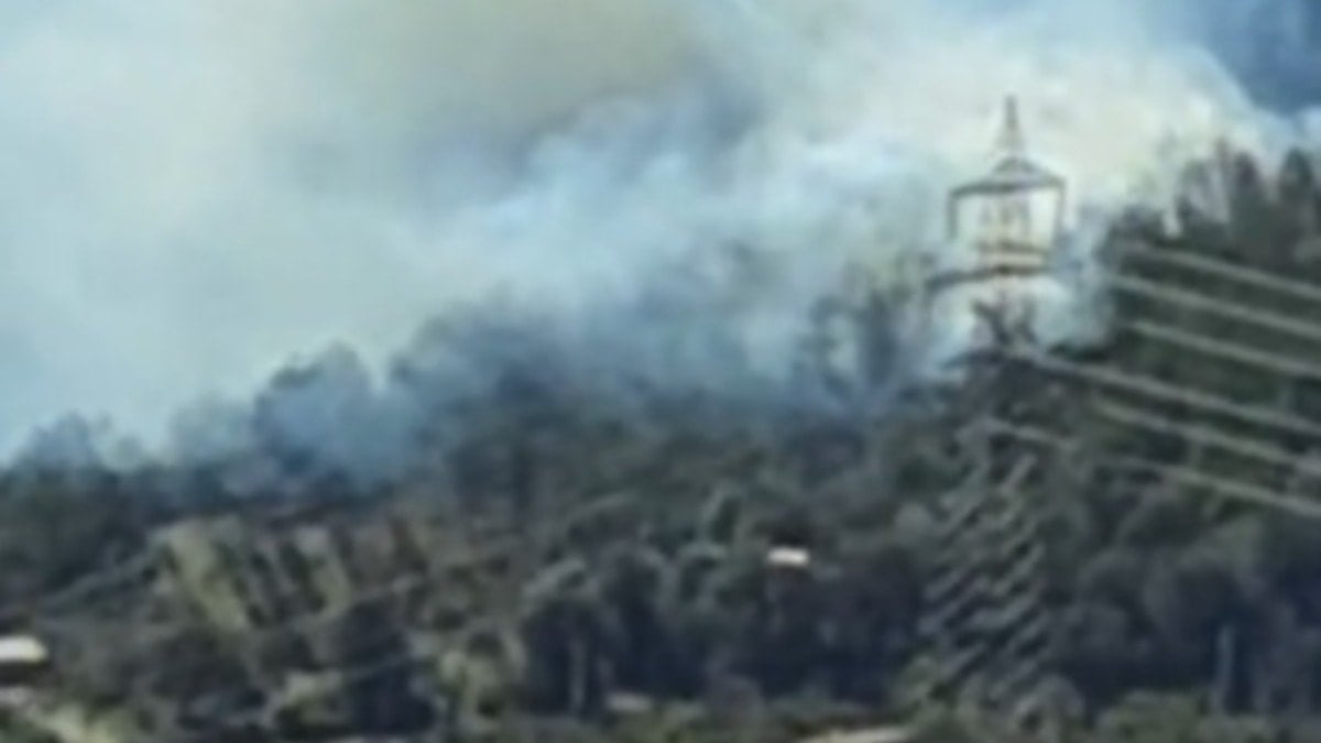 Osmaniye'de orman yangını başladı!