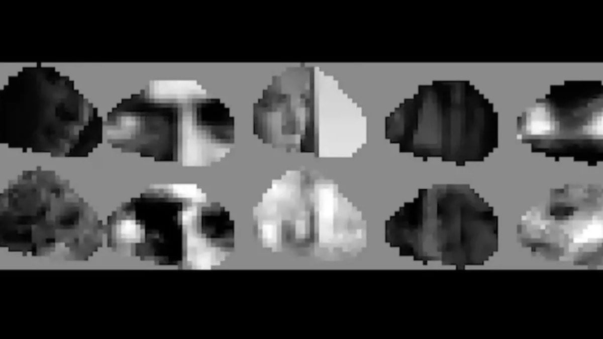 Fareler işte böyle görüyormuş