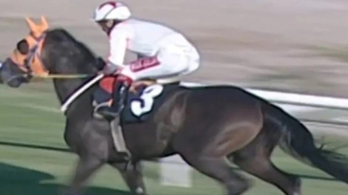 Kesilen yarış atı hala TJK’da “yaşıyor” görünüyor