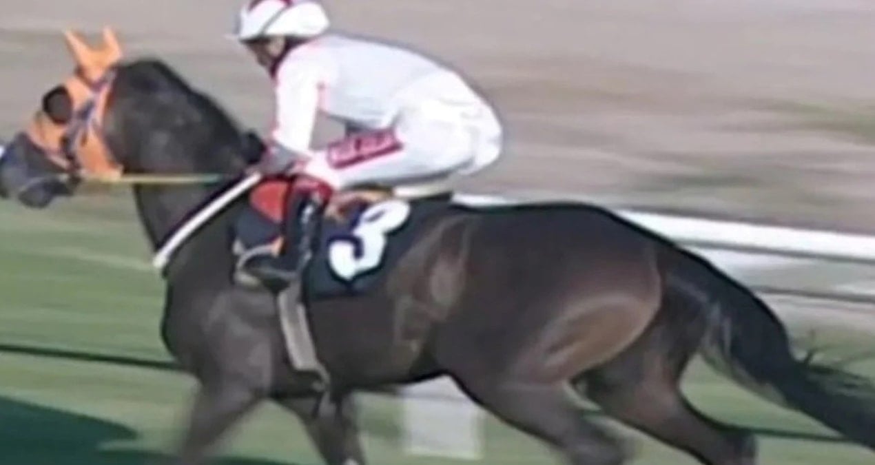 Kesilen yarış atı hala TJK’da “yaşıyor” görünüyor