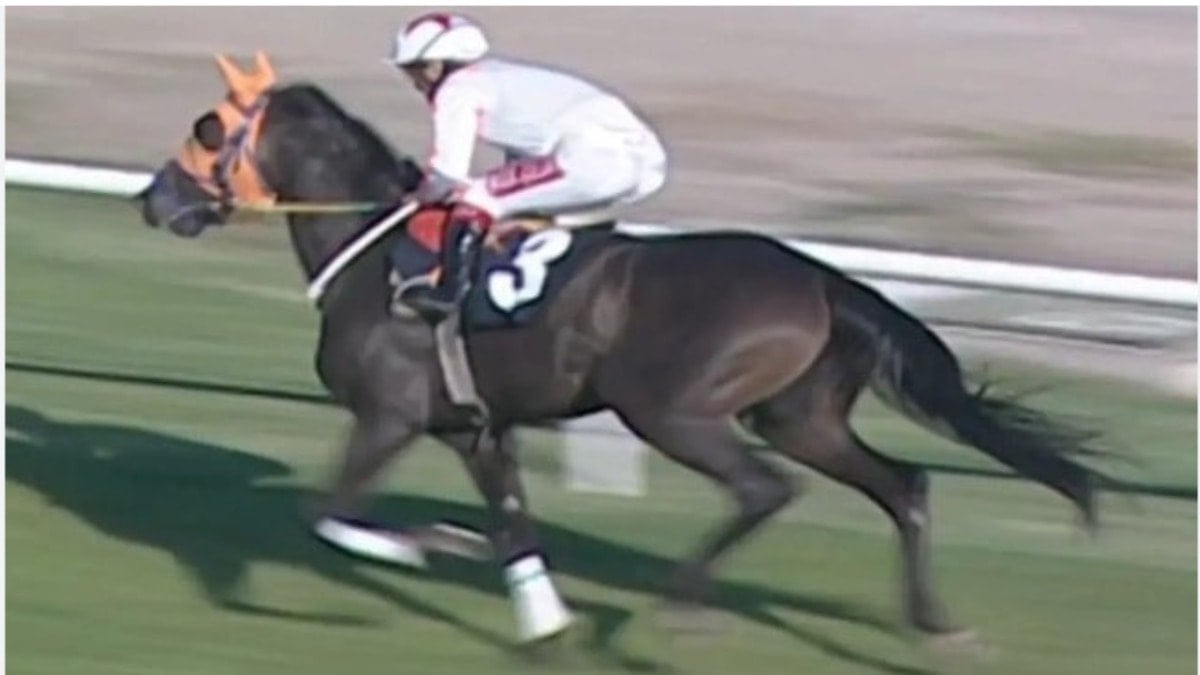 Şampiyon nasıl kavurma kazanına düştü: Latch’ın başına gelenler ortaya çıktı