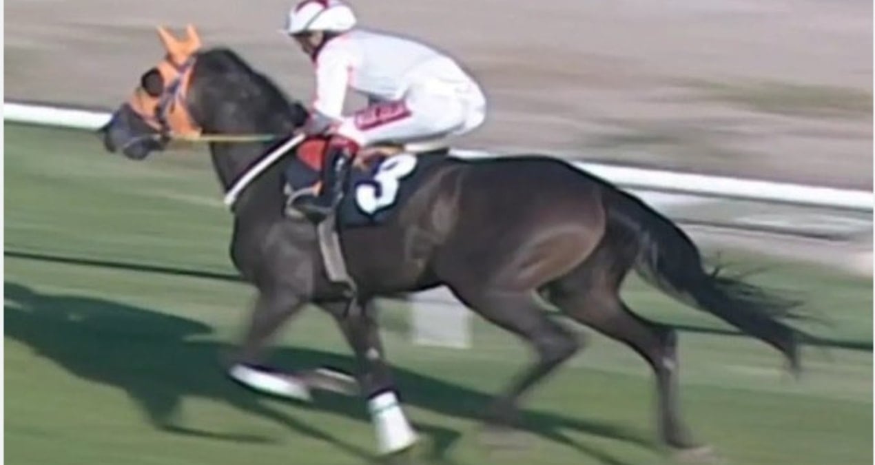 Şampiyon at nasıl kavurma oldu? Latch’ın başına gelenler gün yüzüne çıktı