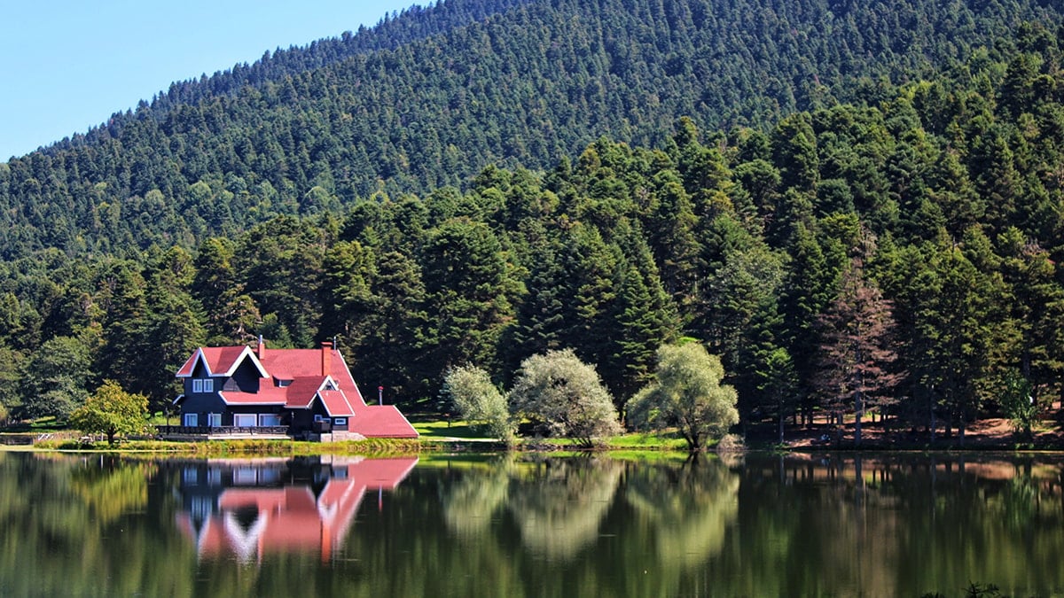 Talanlara nokta atışı