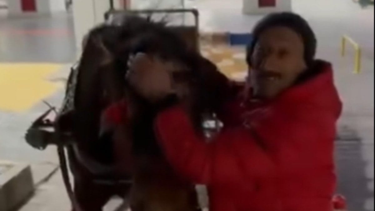 İlginç görüntü: Ambulans bulamayınca çareyi 'Atbulans'ta buldu