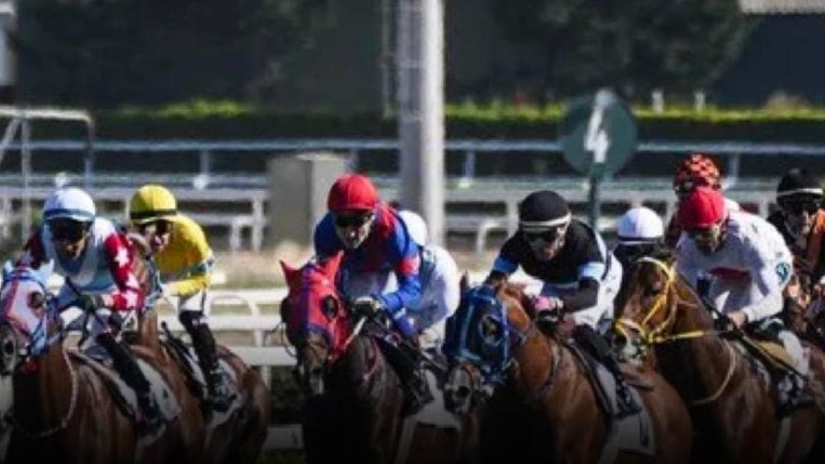 Şampiyon yarış atını sakatlanınca kuşbaşı yapıp belediyeye satmışlar