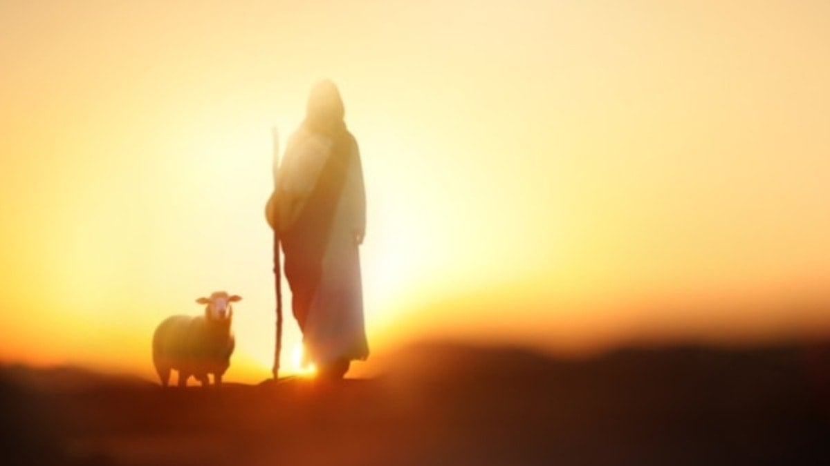 İlanı gören dondu kaldı: 5 ay için 590 bin TL maaşla çoban aranıyor!