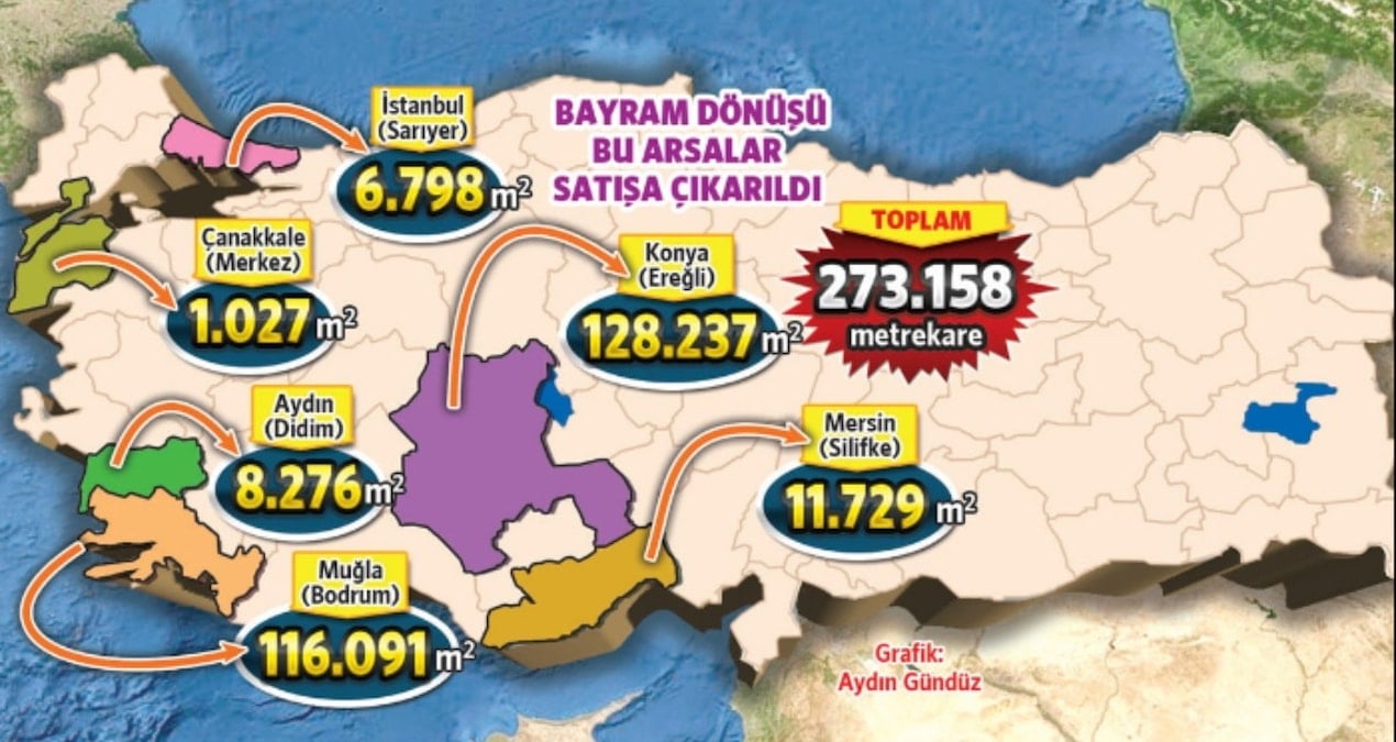 İktidar ormanı ‘çalılık’ diyerek satışa çıkardı