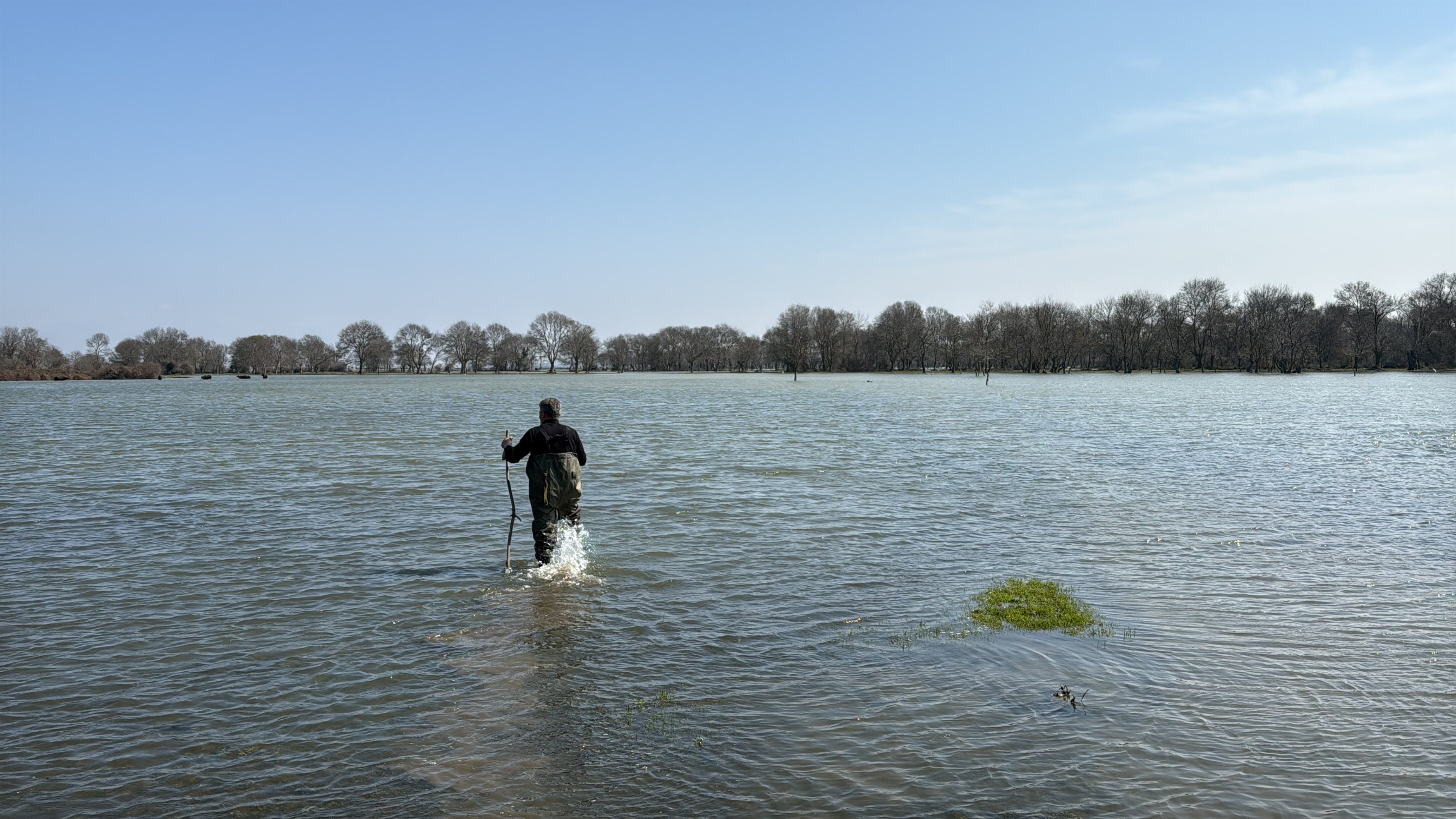 Yakalamak için soğuk suyun içinde saatler geçiriyor... Kilosu servet değerinde