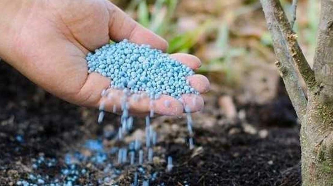 Bakanlık 81 ile yazı gönderdi! 10 yıl önce yasaklanan ürün tekrar satılacak