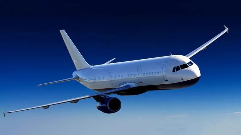 Dev havayolu şirketi ciro rekoru kırdı!