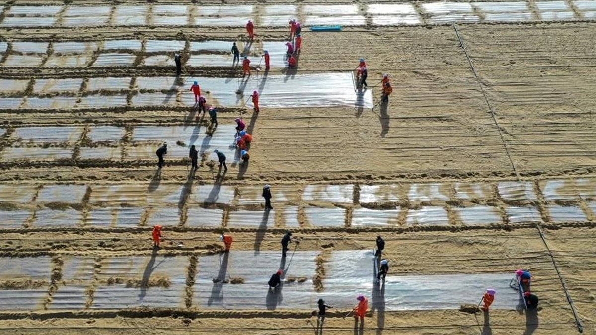 Dev çölü yeşil çemberle hapsettiler