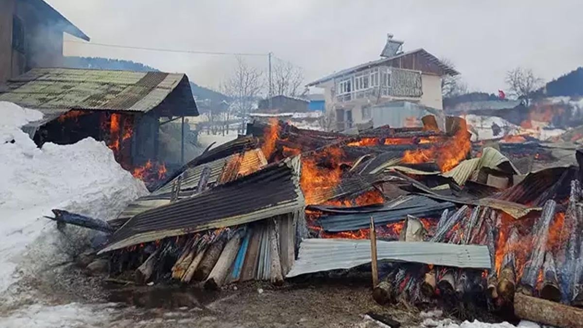 Artvin’de yangıda 1 ev, 2 ahır ve 1 ambar küle döndü