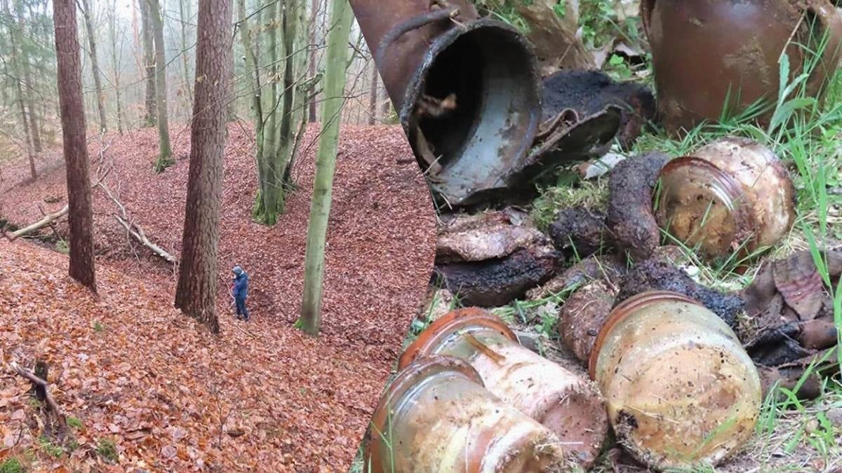 Ormanda gizlenen kayıp medeniyet bulundu: Dev hendekler ve surlar ortaya çıktı