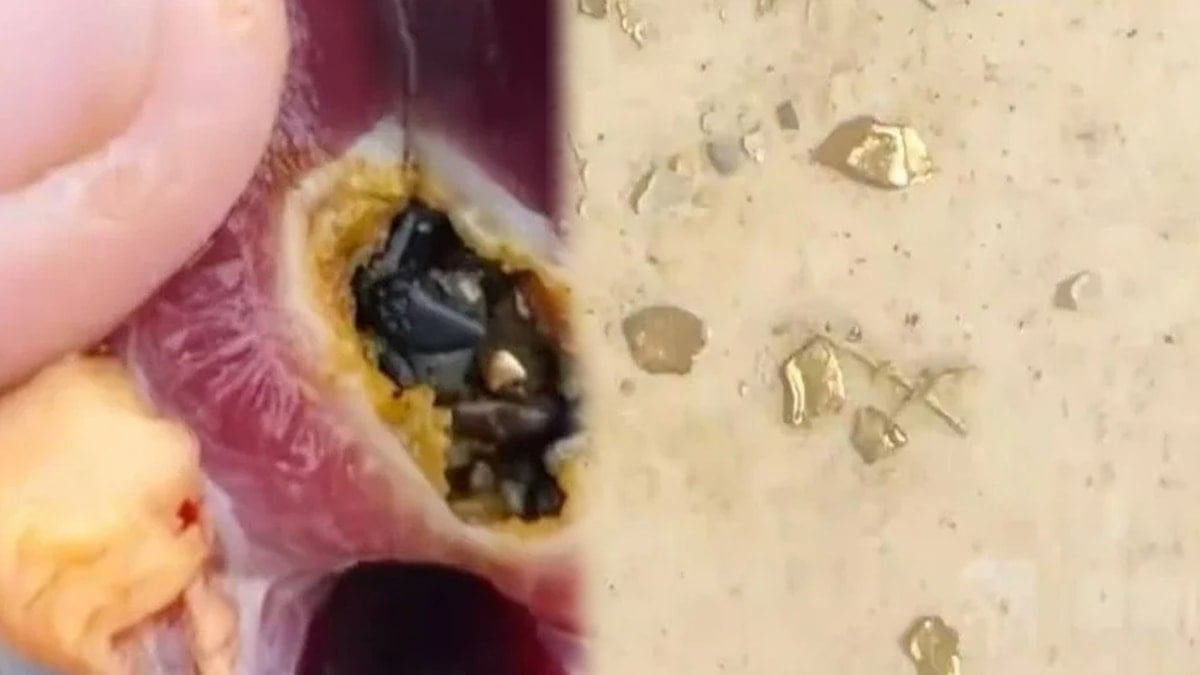 Beslediği ördeğin midesinden servet çıktı 