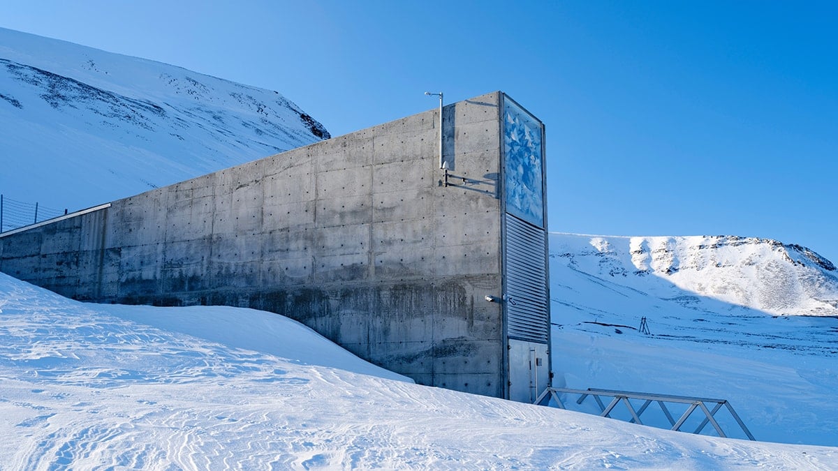 İnsanlığın 'sıfır noktası' için inşa edildi: Sadece orası ayakta kalacak