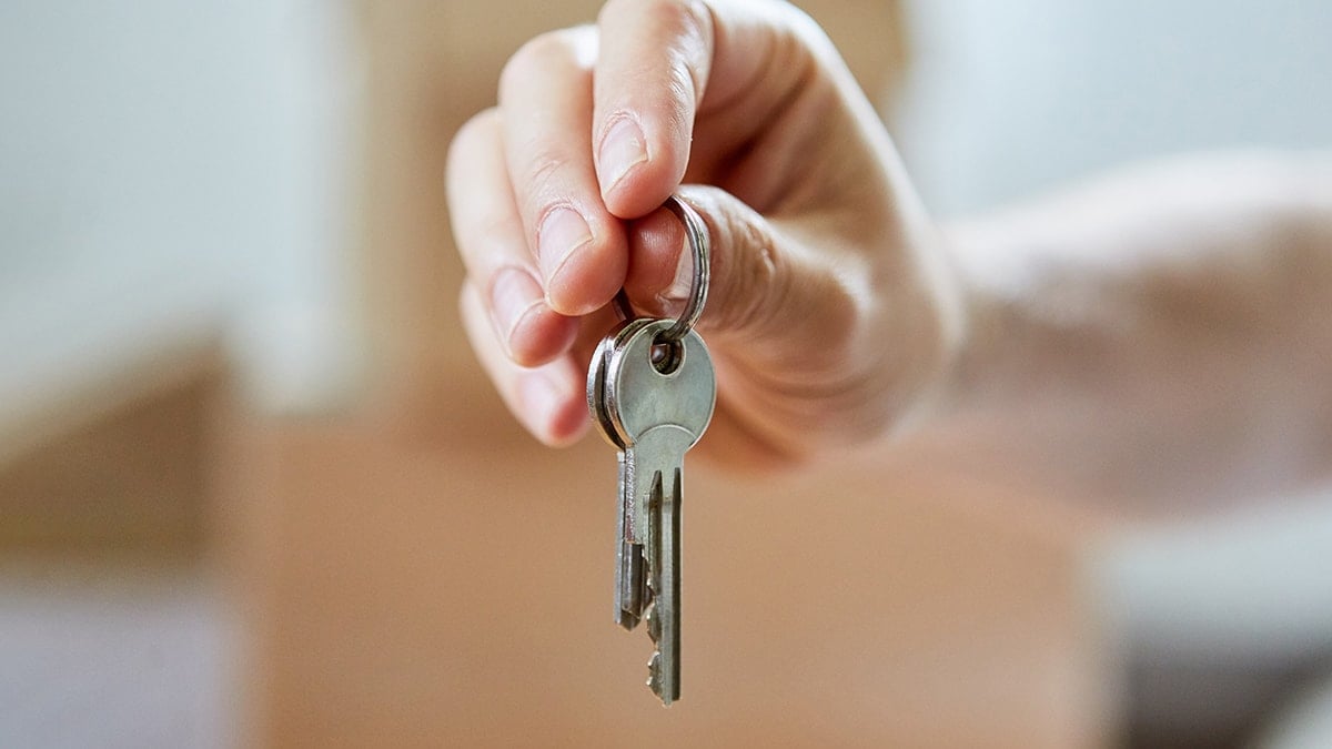 Bedava ev ilanını gören oraya koştu: Şehir birbirine girdi