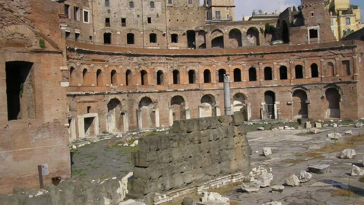 Antik çarşıyı garip yaratıklar istila etti: Dünyada sadece burada yaşıyorlar