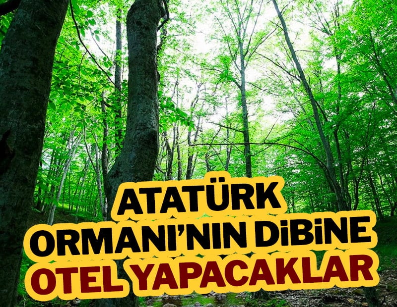 Atatürk Ormanı’nın dibine otel yapacaklar