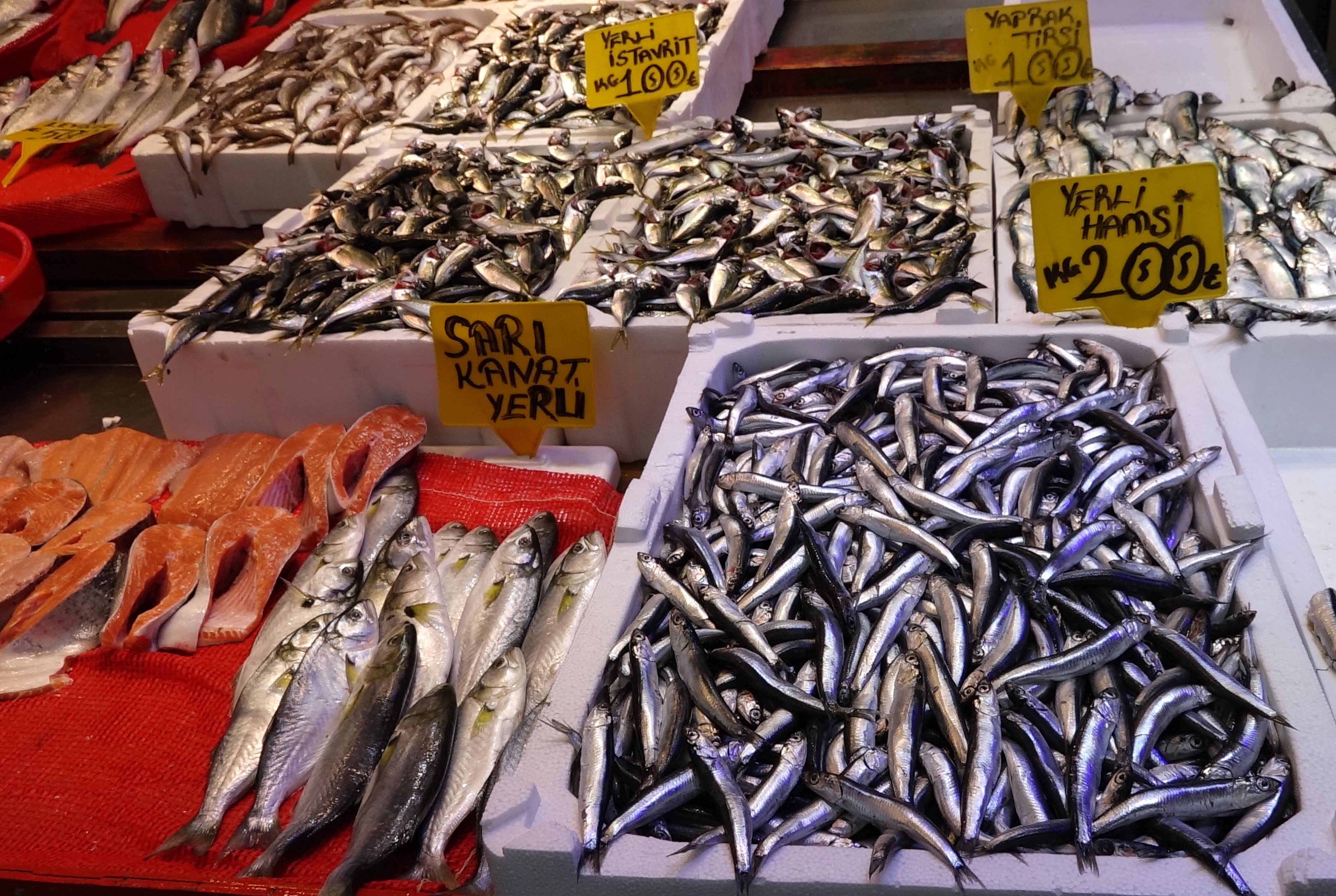 Tezgahlar doldu taştı, hamsinin yarı fiyatına satılıyor