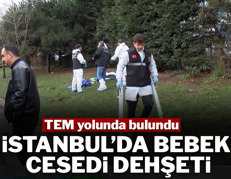 İstanbul'da dehşet: TEM yolunun kenarında bebek cesedi bulundu