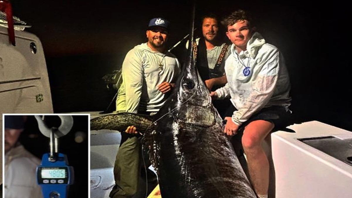 5 saatlik mücadelenin ardından dev balığı yakaladılar: Tüm kasabayı doyurdu 