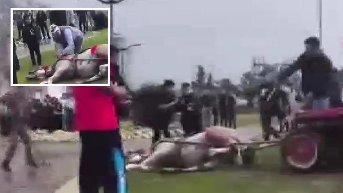 Adana'da vahşet: Koşmuyor diyerek atı darbetti