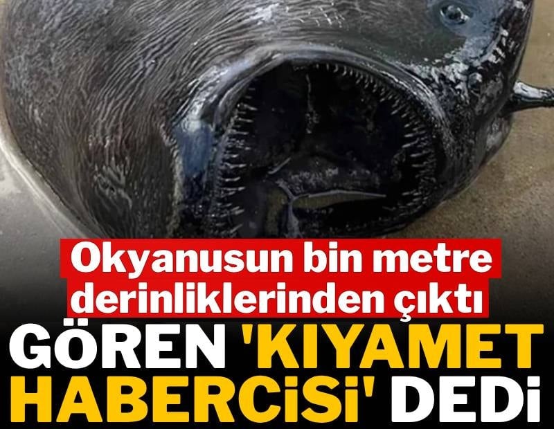  Gören 'kıyamet habercisi' dedi, okyanusun 1.000 metre altından çıkıp geldi
