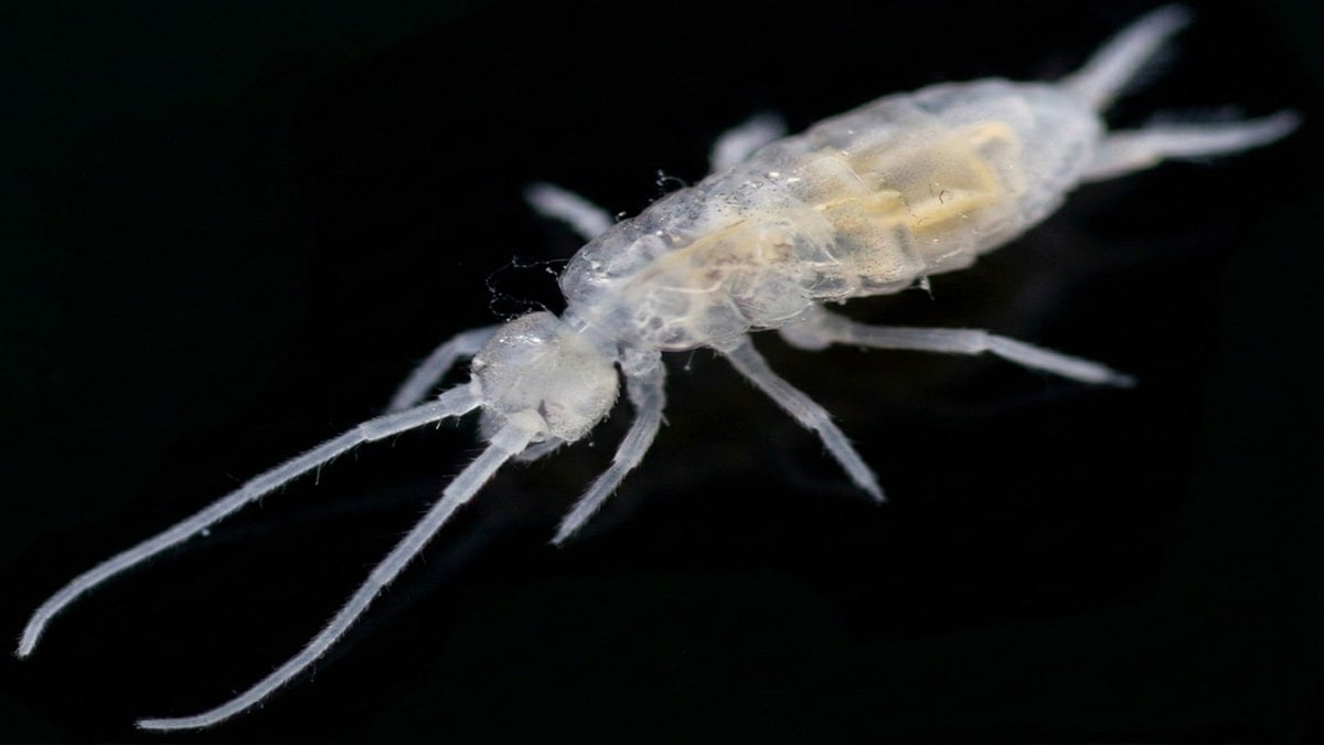 Hayatı ışığın bittiği yerde başlıyor