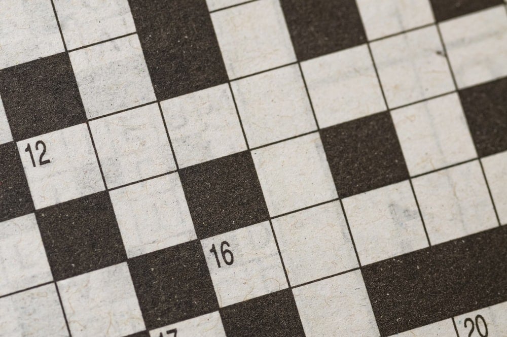 Hayvanların bulmaca çözdüğü ortaya çıktı: Sebebin duyan kulaklarına inanamıyor