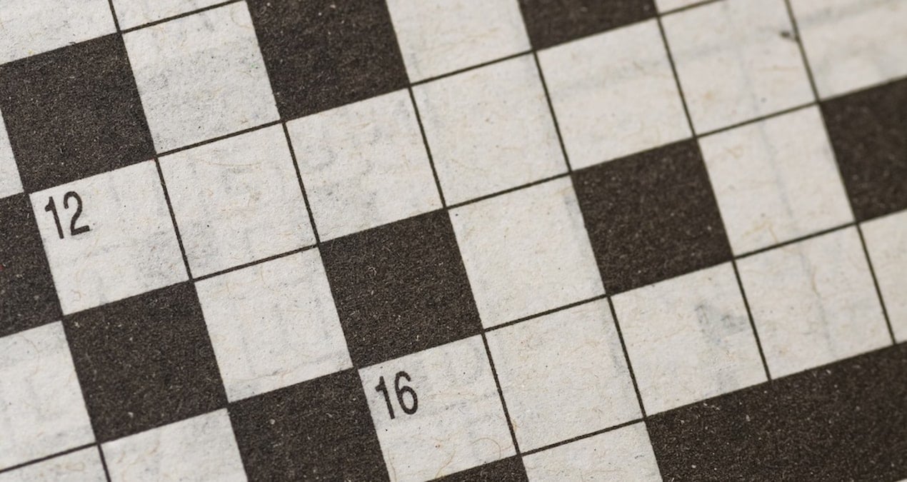 Hayvanların bulmaca çözdüğü ortaya çıktı: Sebebin duyan kulaklarına inanamıyor