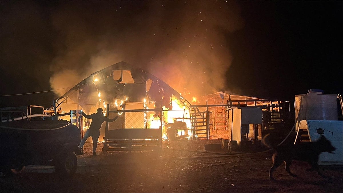 Bursa'daki yangında 580 hayvan öldü