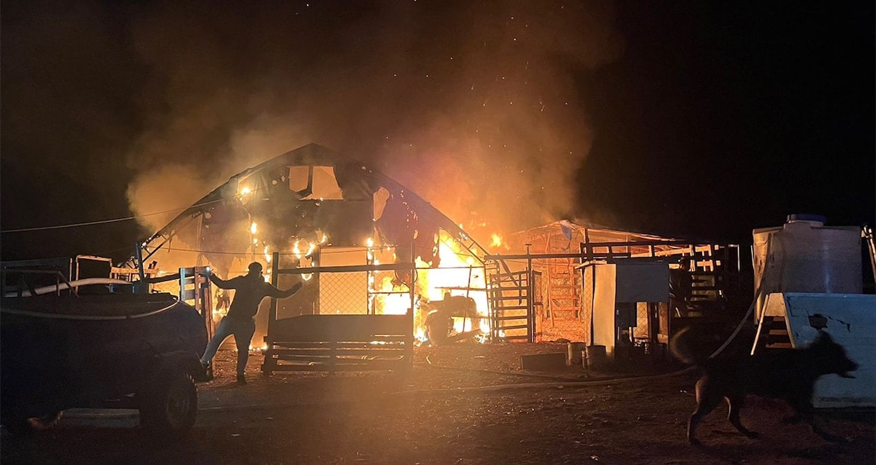 Bursa'daki yangında 580 hayvan öldü