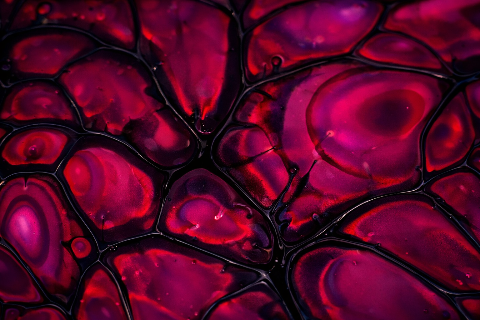 Dünyada bir ilk: Yeniden programlanmış insan hücrelerine onay verildi