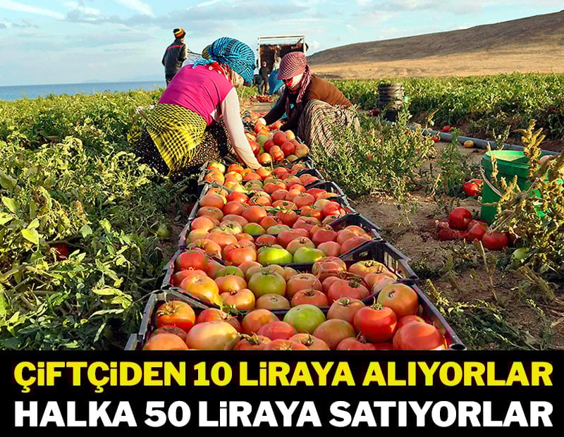Çiftçiden 10 liraya alıyorlar halka 50 liraya satıyorlar