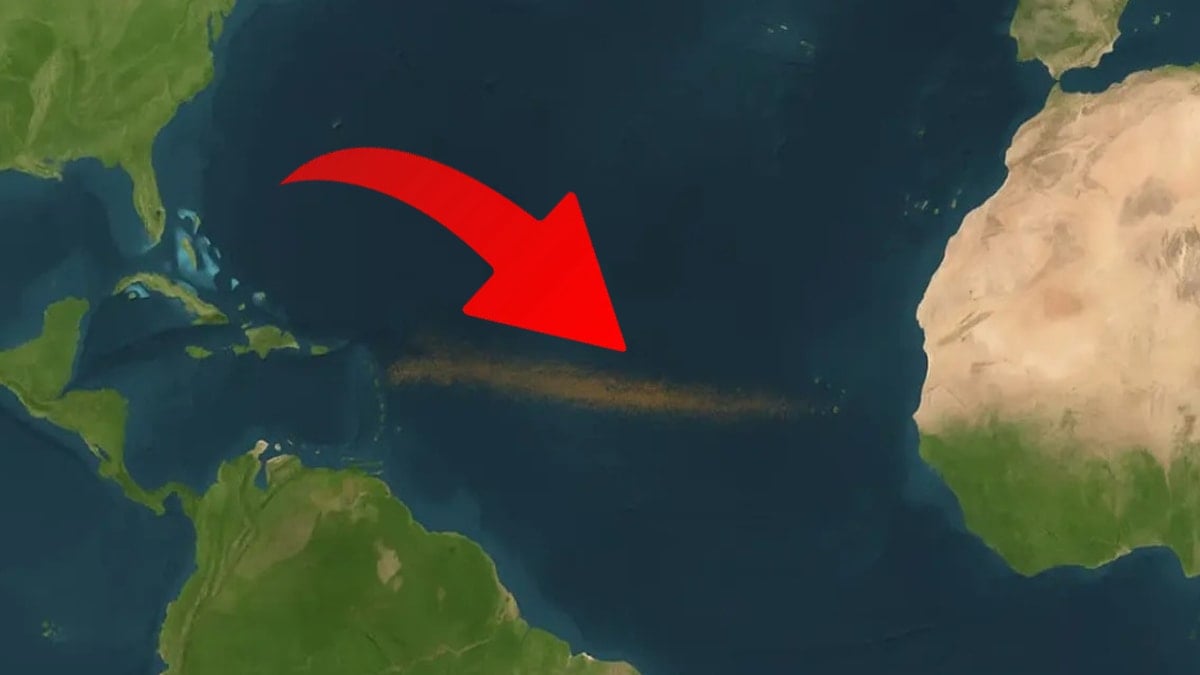 Bir anda ortaya çıktı: 11 günde 2 katına çıktı 